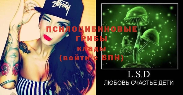 гашик Абинск
